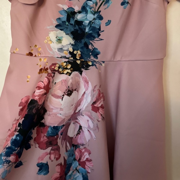 NWT Ted Baker Dress Raspbery Bardot Skater  size:5,  light pink,  painted flower - Picture 11 of 11